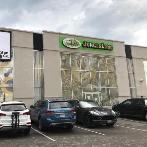 Jungle Land Indoor Playground